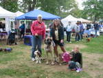 Paws in the Park Walk